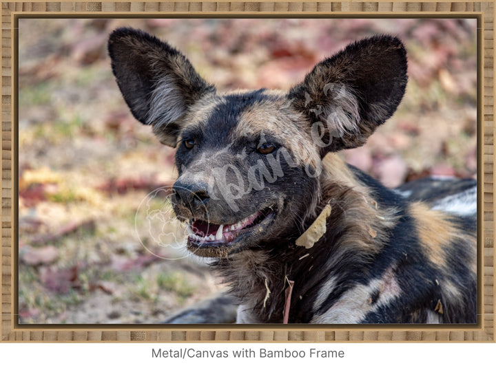 African Safari Wall Art: The Wild Dog Headshot