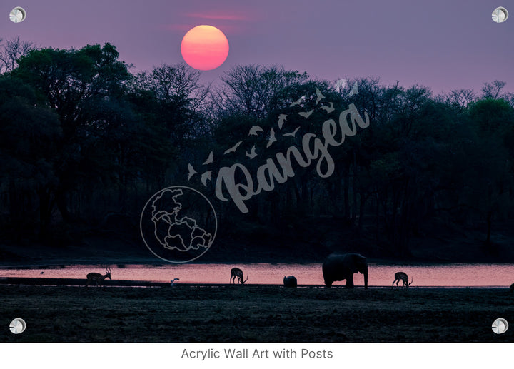 African Safari Wall Art: Classic Watering Hole Scenery