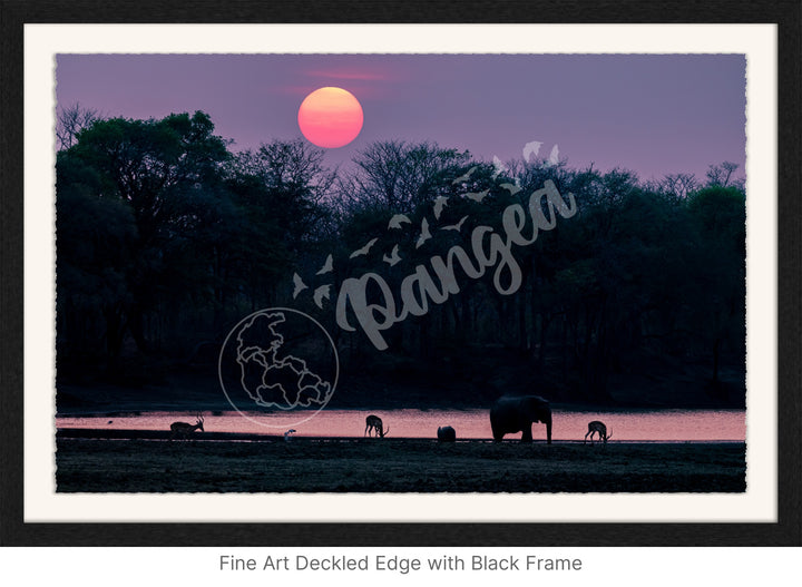 African Safari Wall Art: Classic Watering Hole Scenery