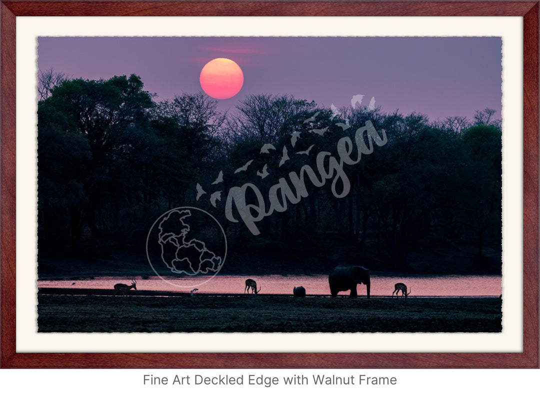 African Safari Wall Art: Classic Watering Hole Scenery