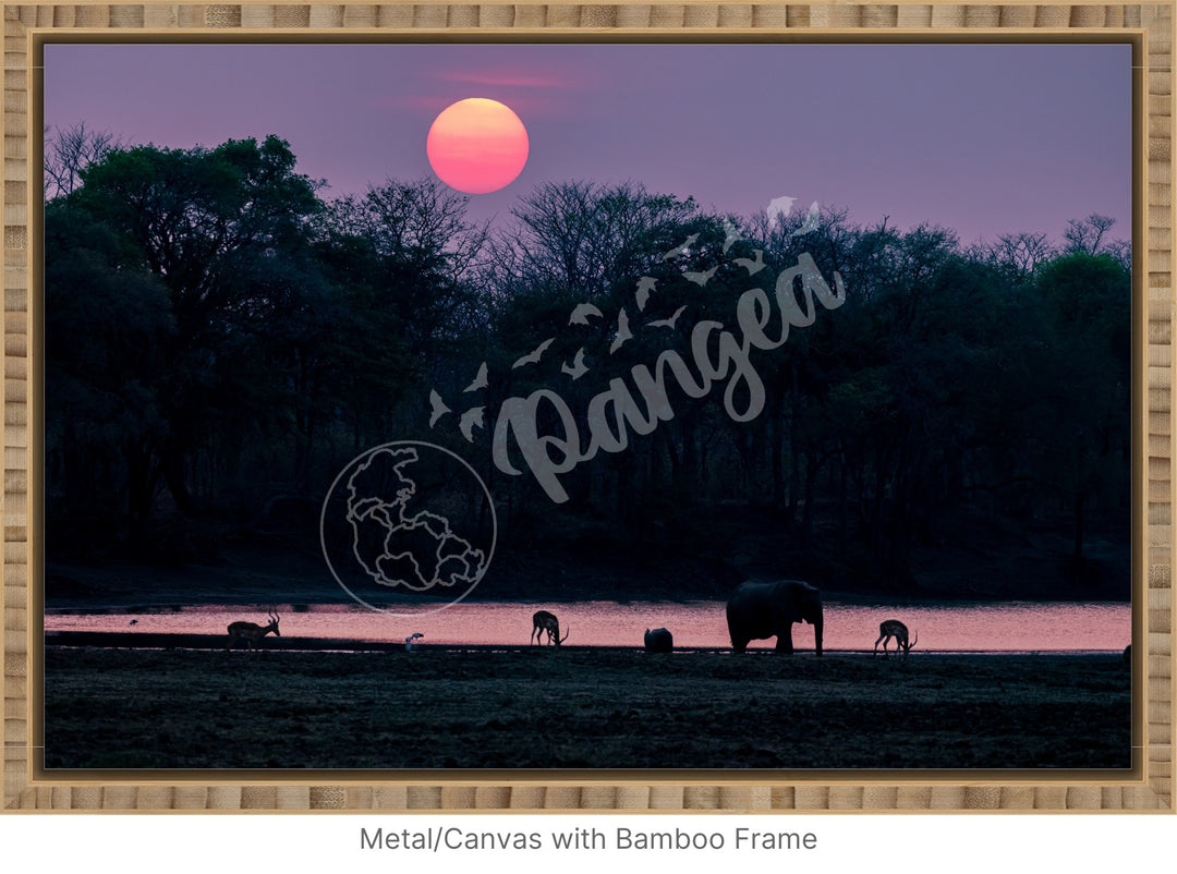 African Safari Wall Art: Classic Watering Hole Scenery