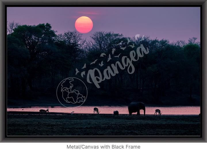 African Safari Wall Art: Classic Watering Hole Scenery