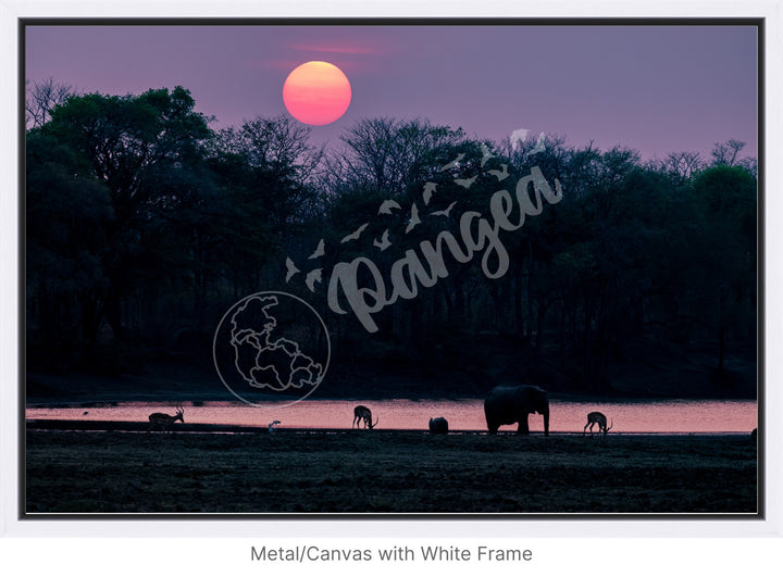 African Safari Wall Art: Classic Watering Hole Scenery