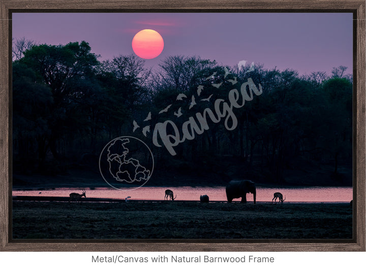 African Safari Wall Art: Classic Watering Hole Scenery