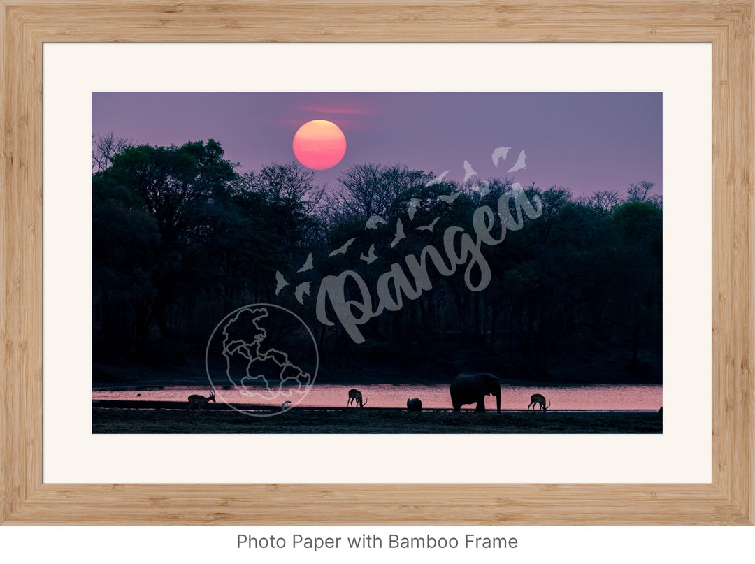 African Safari Wall Art: Classic Watering Hole Scenery