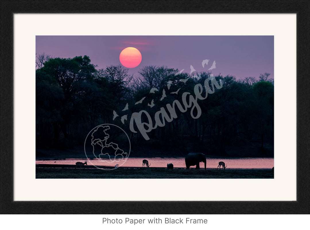 African Safari Wall Art: Classic Watering Hole Scenery