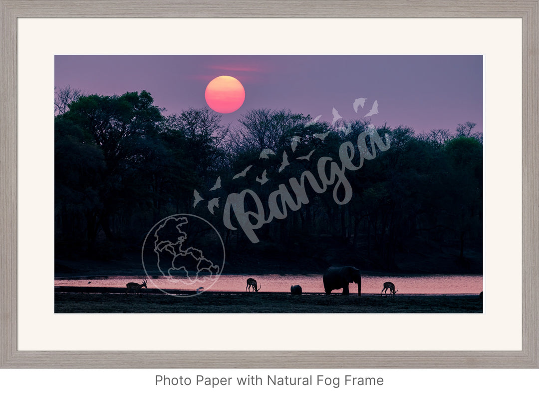 African Safari Wall Art: Classic Watering Hole Scenery