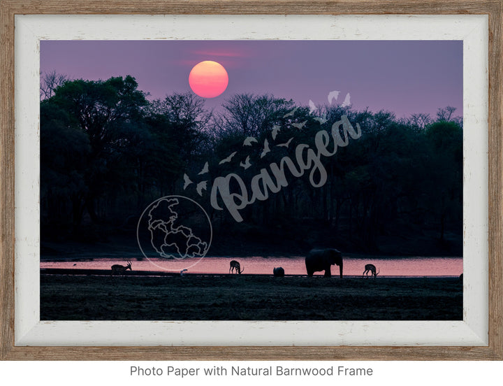 African Safari Wall Art: Classic Watering Hole Scenery