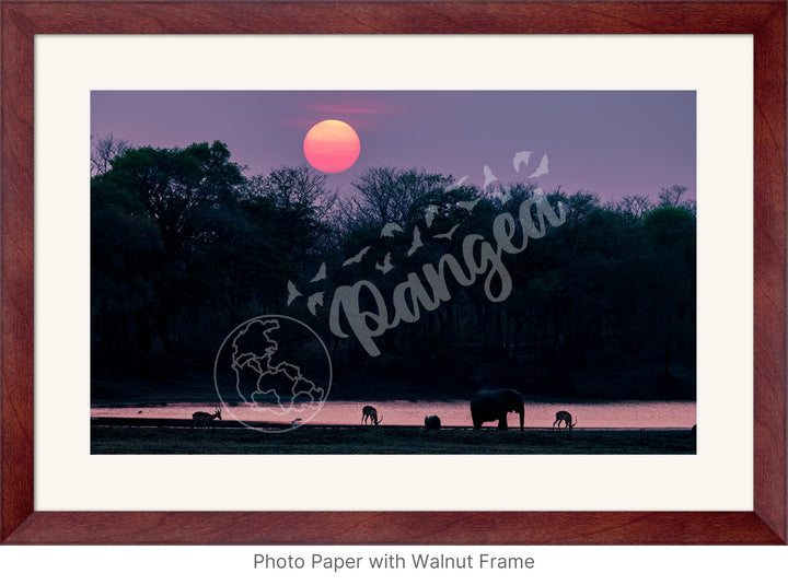 African Safari Wall Art: Classic Watering Hole Scenery