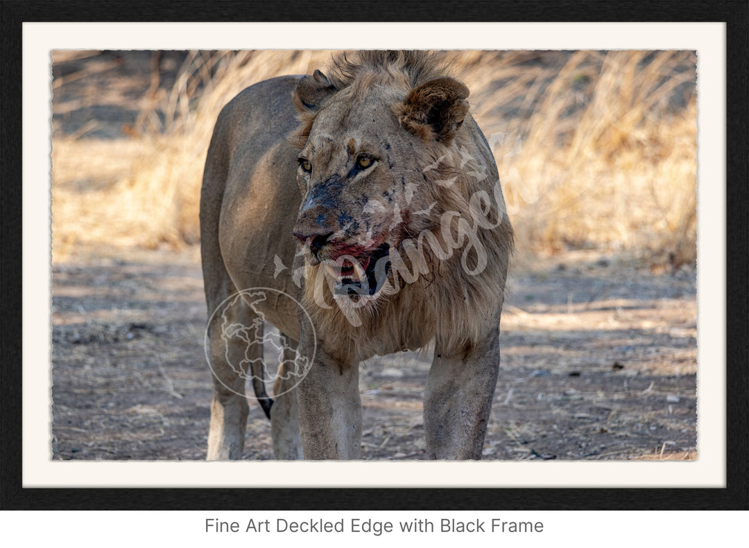 African Safari Wall Art: Guarding the Kill