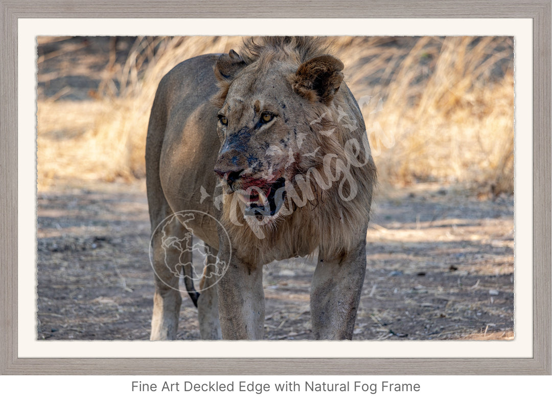 African Safari Wall Art: Guarding the Kill