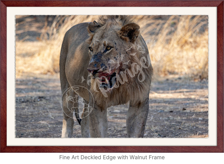 African Safari Wall Art: Guarding the Kill