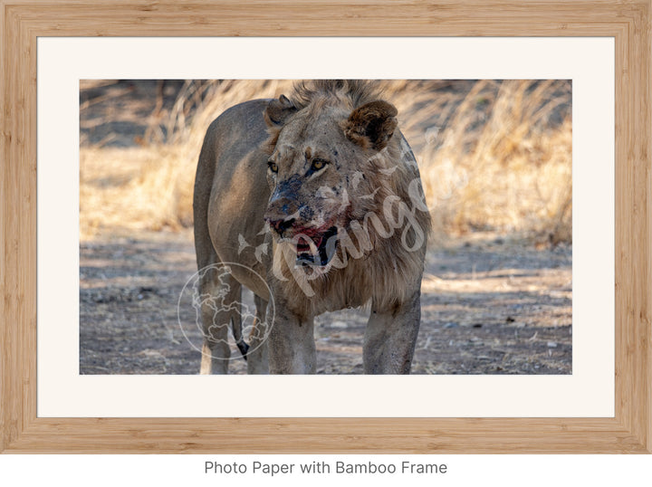 African Safari Wall Art: Guarding the Kill