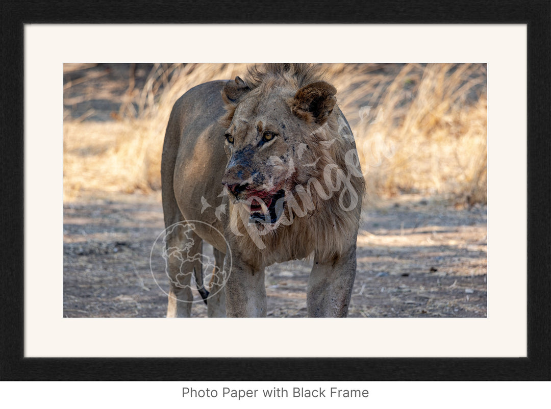 African Safari Wall Art: Guarding the Kill