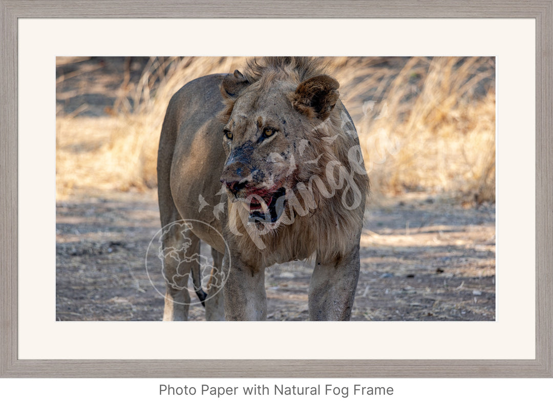 African Safari Wall Art: Guarding the Kill