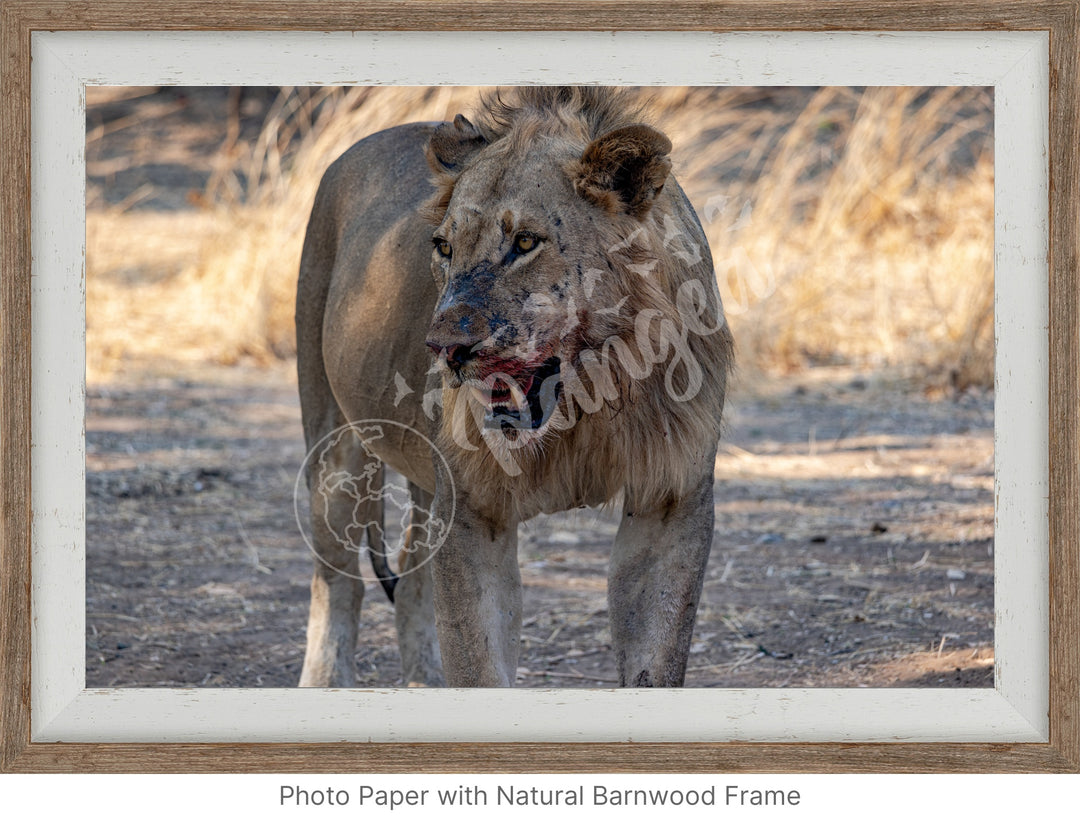 African Safari Wall Art: Guarding the Kill