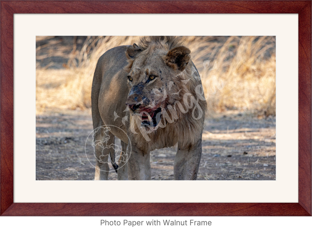 African Safari Wall Art: Guarding the Kill