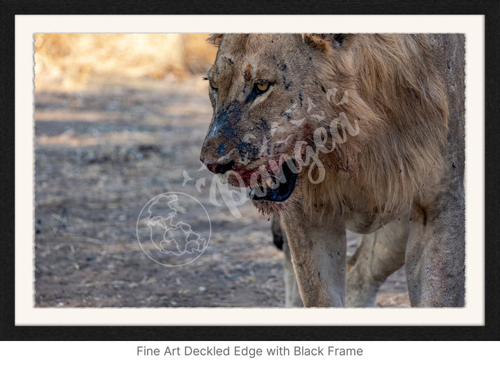 African Safari Wall Art: Male Lion on Guard