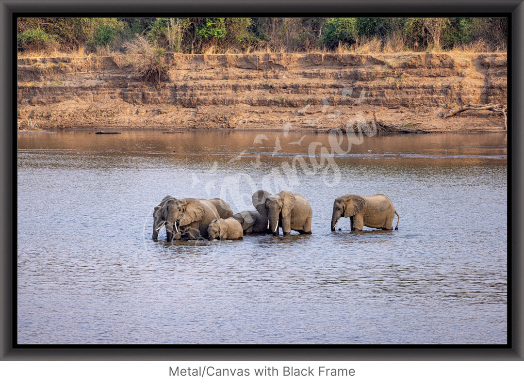 African Safari Wall Art: Elephants Crossing the River