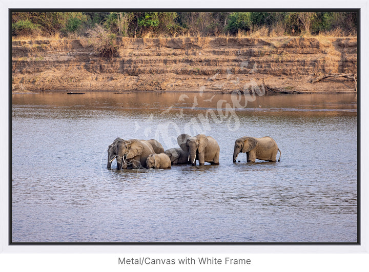 African Safari Wall Art: Elephants Crossing the River