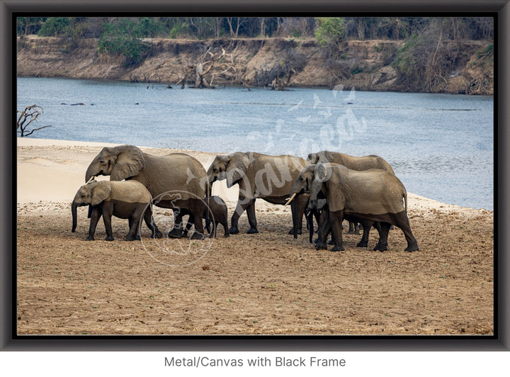 African Safari Wall Art: Elephants on the River Bank