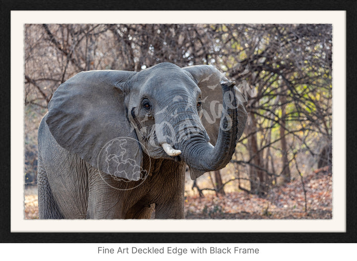 African Safari Wall Art: The Call of Africa