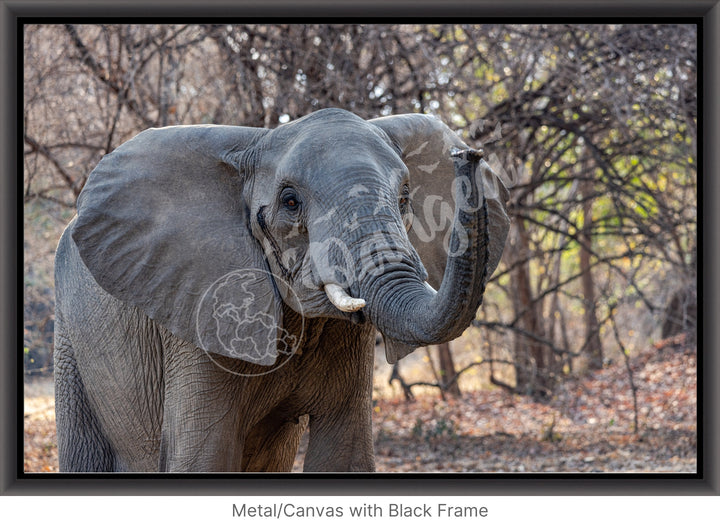 African Safari Wall Art: The Call of Africa