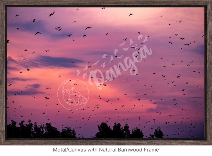 Kasanka Bat Emergence Wall Art: Purple Edition