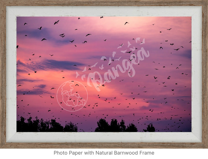 Kasanka Bat Emergence Wall Art: Purple Edition