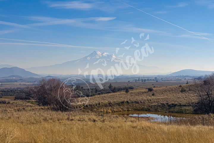 Wall Art: Mt. Shasta's Enchanting Winters