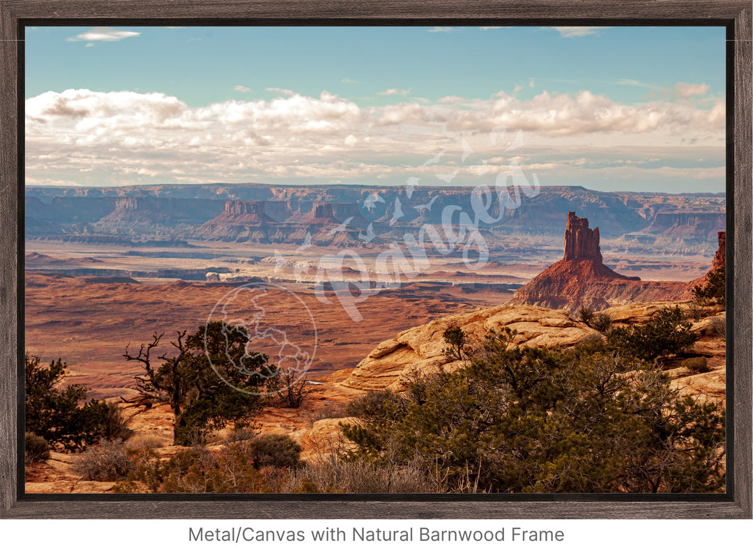 National Parks Wall Art: Canyonlands Golden Hour