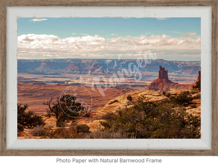 National Parks Wall Art: Canyonlands Golden Hour