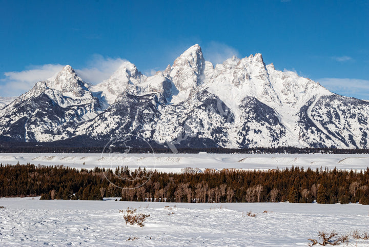 Wall Art: Winter in the Tetons