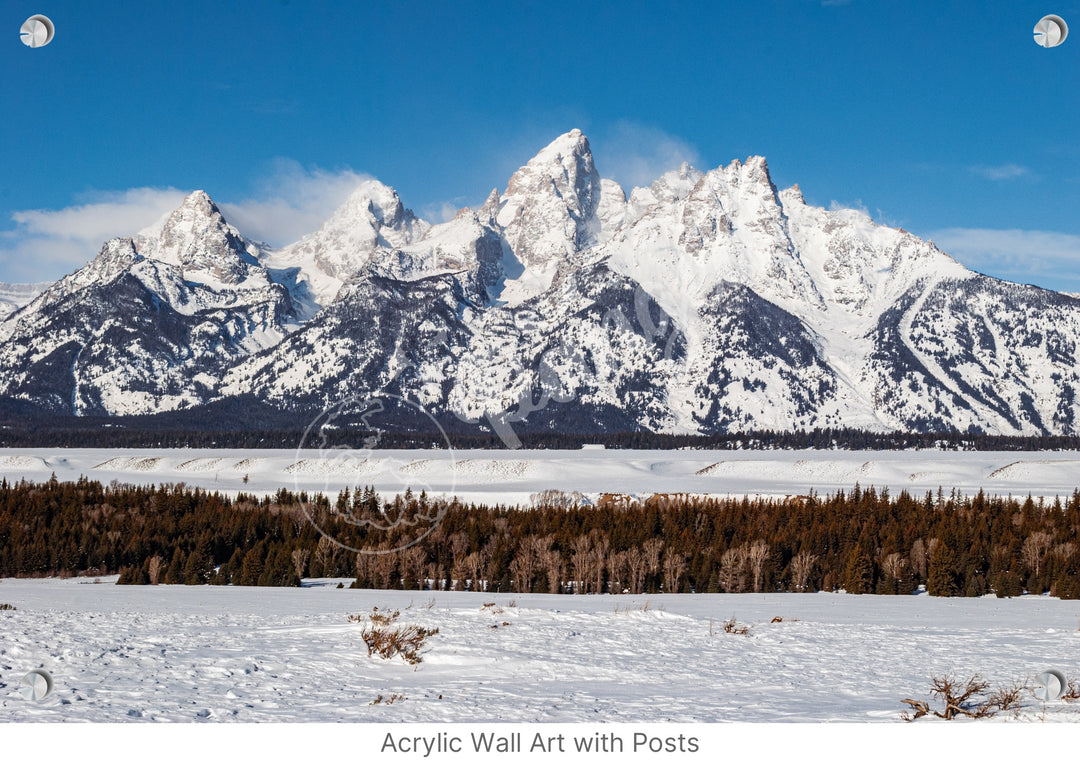 Wall Art: Winter in the Tetons