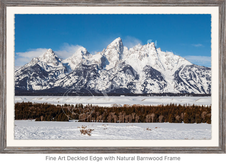 Wall Art: Winter in the Tetons