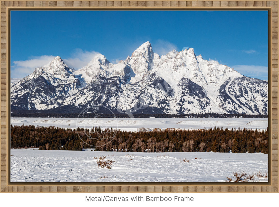 Wall Art: Winter in the Tetons