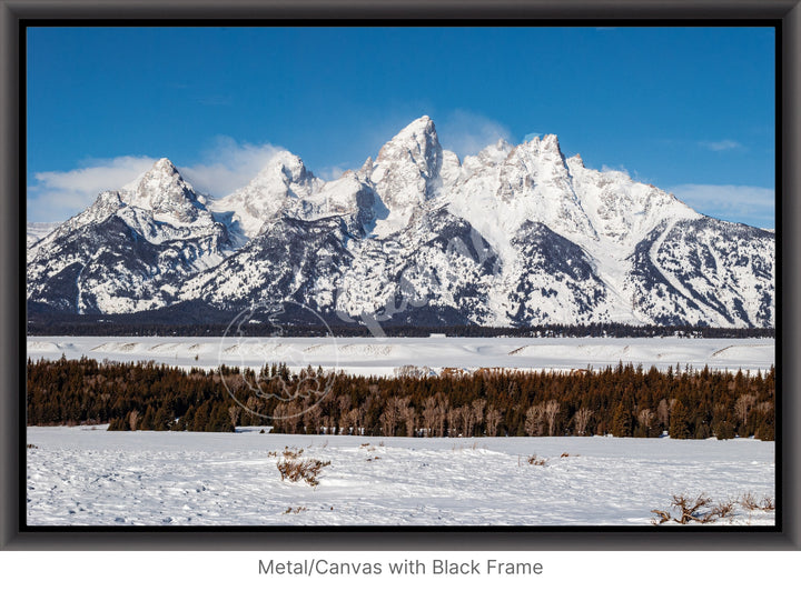 Wall Art: Winter in the Tetons