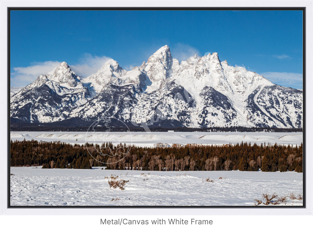 Wall Art: Winter in the Tetons