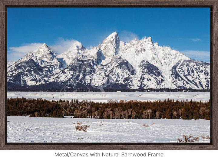 Wall Art: Winter in the Tetons