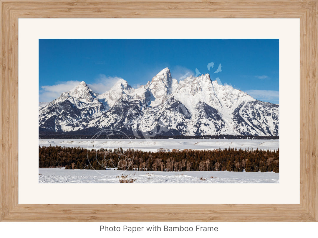 Wall Art: Winter in the Tetons