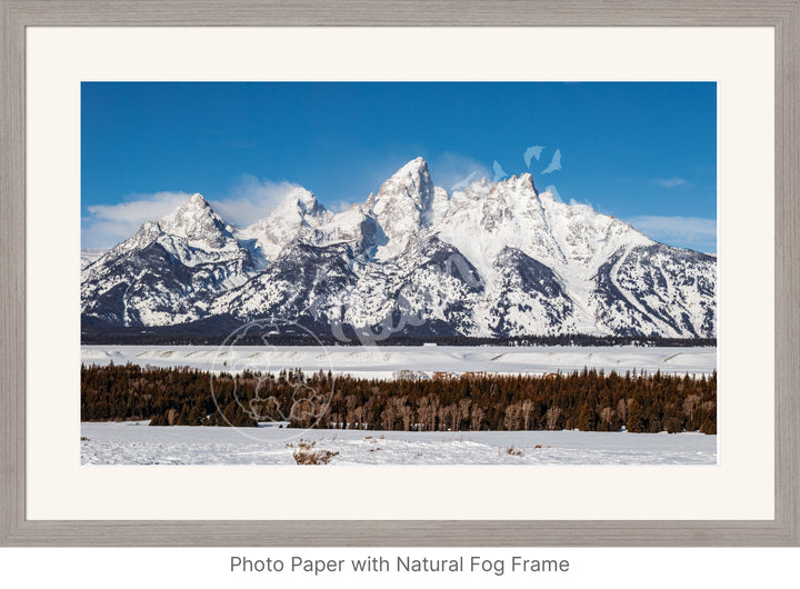 Wall Art: Winter in the Tetons