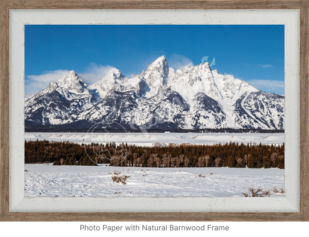 Wall Art: Winter in the Tetons