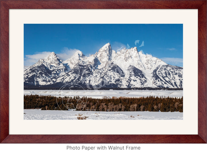 Wall Art: Winter in the Tetons