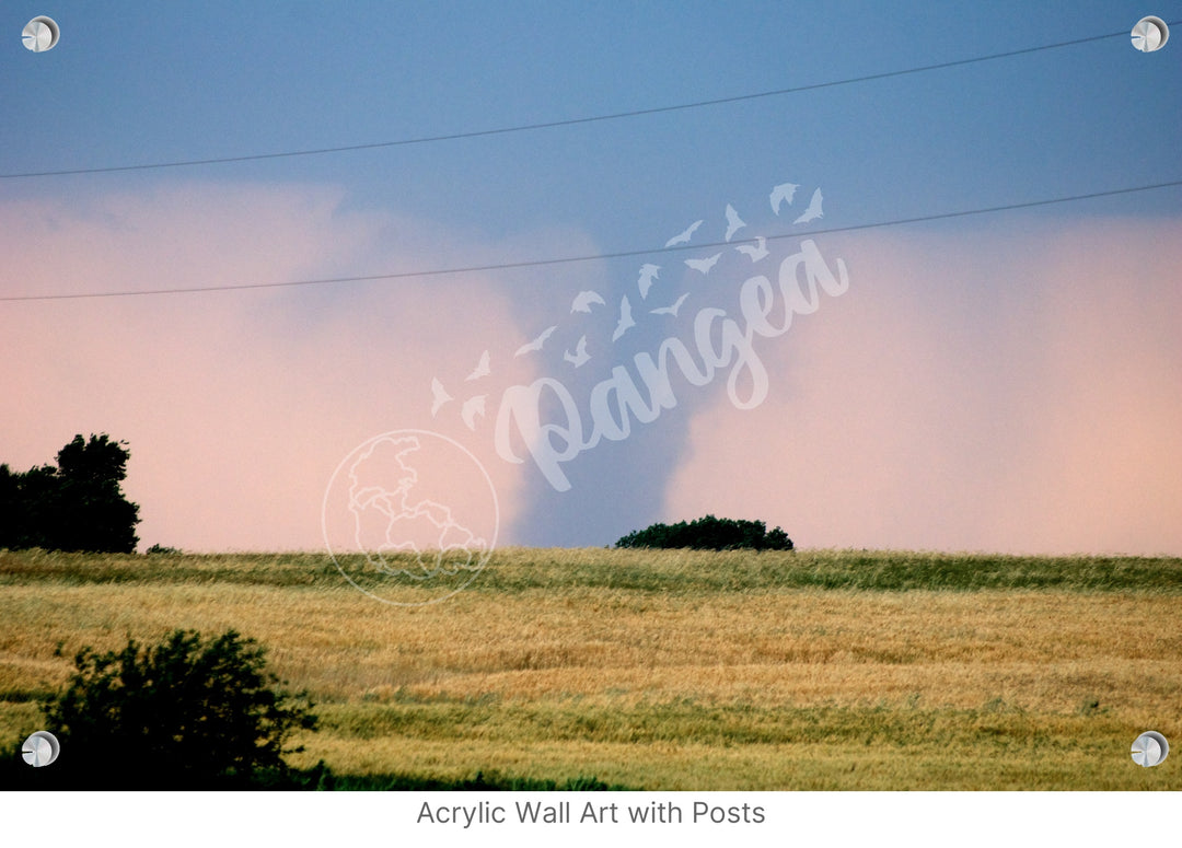 Storm Chasing Wall Art: The Kansas Tornado