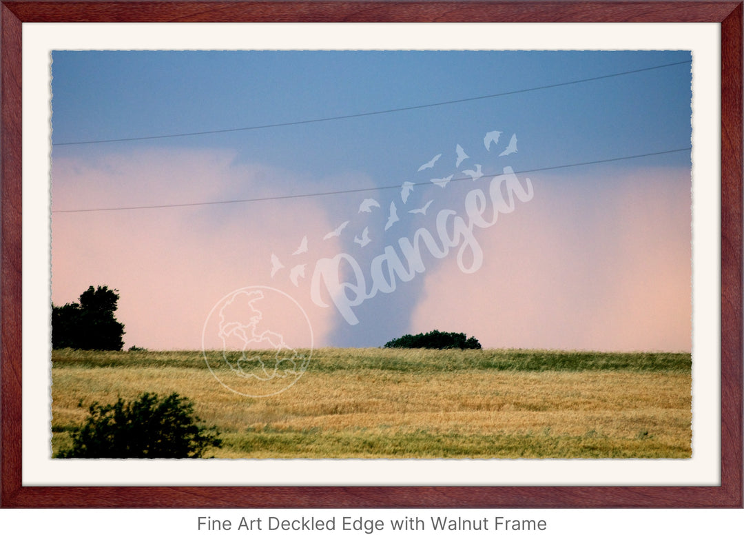 Storm Chasing Wall Art: The Kansas Tornado