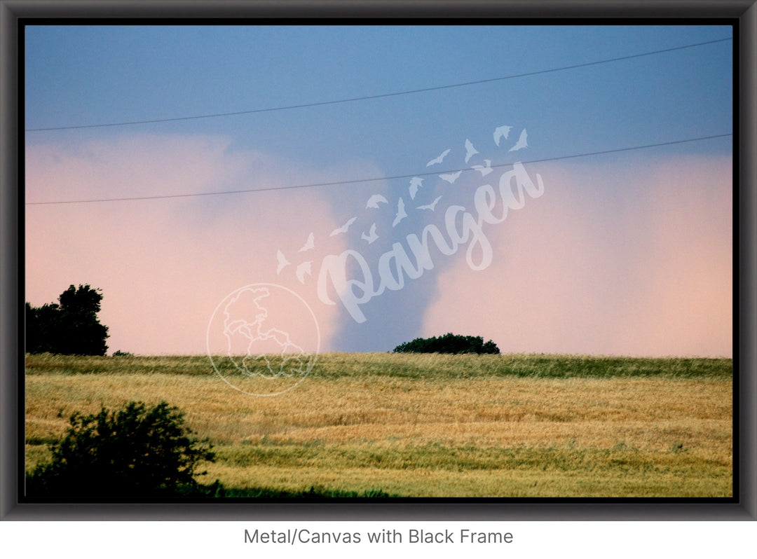 Storm Chasing Wall Art: The Kansas Tornado