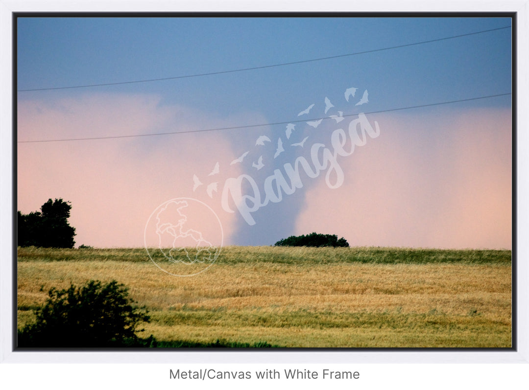 Storm Chasing Wall Art: The Kansas Tornado