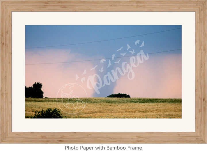 Storm Chasing Wall Art: The Kansas Tornado