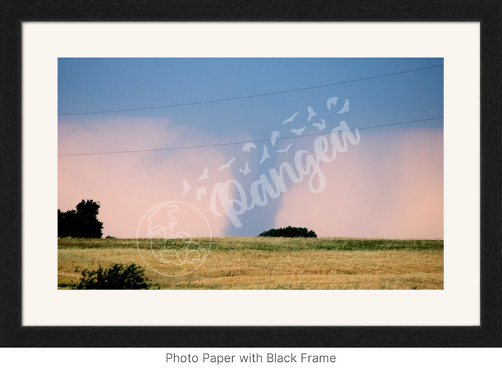 Storm Chasing Wall Art: The Kansas Tornado