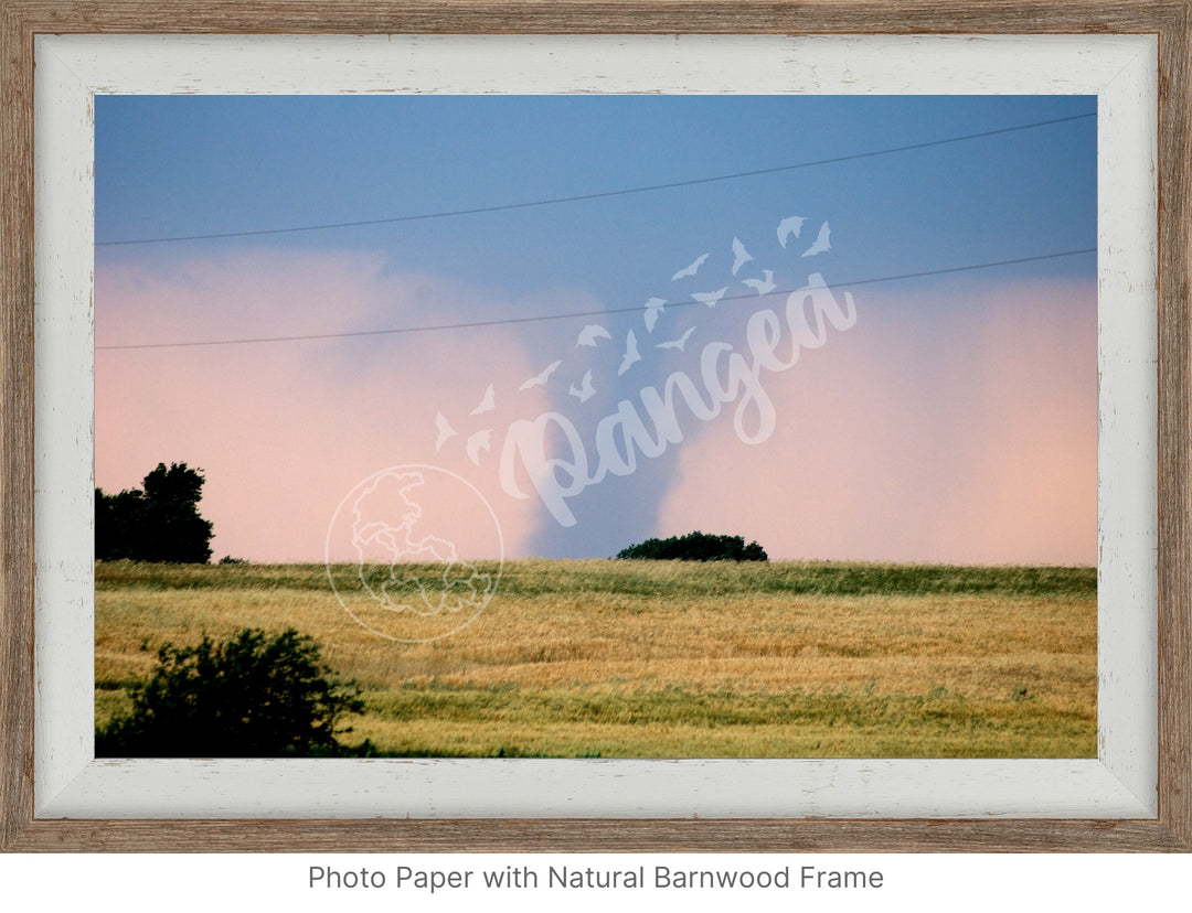 Storm Chasing Wall Art: The Kansas Tornado